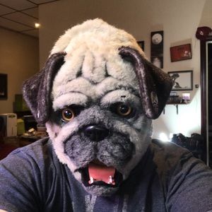 Meet your Posher, Stephen